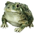 thumbnail image 1 of Michael Carr Designs Critters Reptile Texas Toad Outdoor Lawn Figurine, 1 of 4