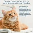 thumbnail image 5 of Rx Vitamins Phos-Bind - Kidney Support Supplement Powder - Phosphate Binder for Cats & Dogs for Kidney Health - Supports Normal Kidney Cleanse and Essential Kidney Care - 200g, 5 of 8