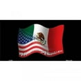 thumbnail image 2 of American Mexican Flags Mixed License Plate, 2 of 2