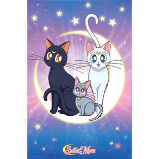 Sailor Moon Wall Scroll