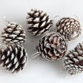 thumbnail image 1 of Piñas de pino naturales navideñas a granel Piñas de nieve rústicas con cuerda Colgante de piña Adornos colgantes de invierno para Navidad Trdi Man Jiaee Gift Ta, 1 of 4