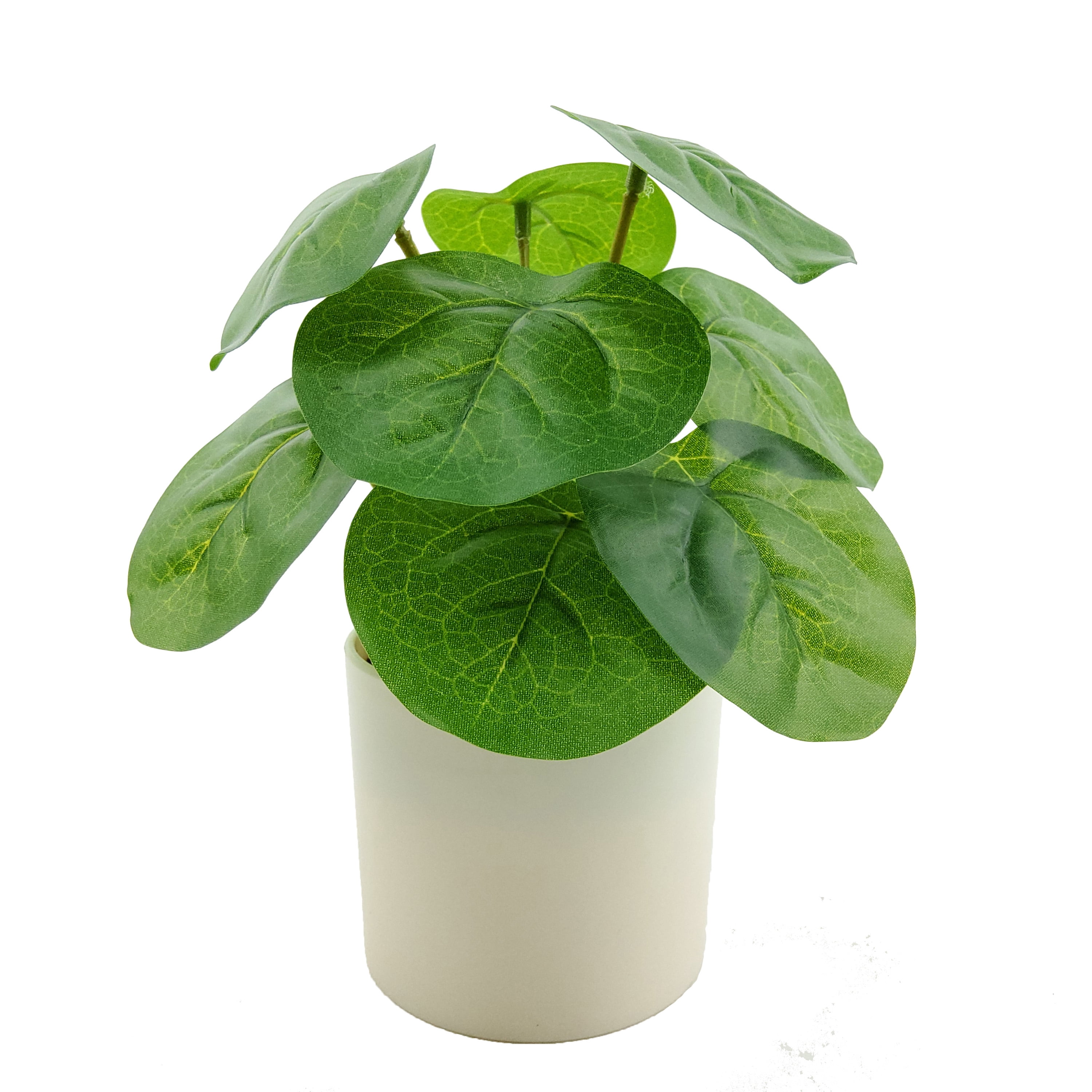 Mainstays Indoor Artificial 7in Money Plant in Pot, Green Color.