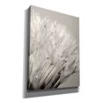 thumbnail image 2 of Epic Graffiti 'Dandelion Jewels I' by Lori Deiter, Canvas Wall Art, 12"x16", 2 of 8