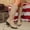B_ Beige, variant on Back Zipper Hollow Out Chunky Low Heel Knee High Boots for Women, Solid Thin Faux Leather Sweet Cool Fall Fashion Footwear Khaki 36