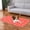 Red, variant on Infidev Large 4-Layer Washable Pet Training Pads, 15.7" x 23.6"