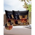 thumbnail image 6 of Pack of 2 Outdoor Pillow Covers, Brown Whisky In Cups With Ice Bar Waterproof Square Throw Pillowcase Cushion Decorative Pillow Covers for Couch Patio Tent, 24x24 in, 6 of 6