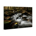 thumbnail image 3 of Stupell Industries Fallen Leaves on Stream Canvas Wall Art design by D. Burt, 20 x 30, 3 of 7