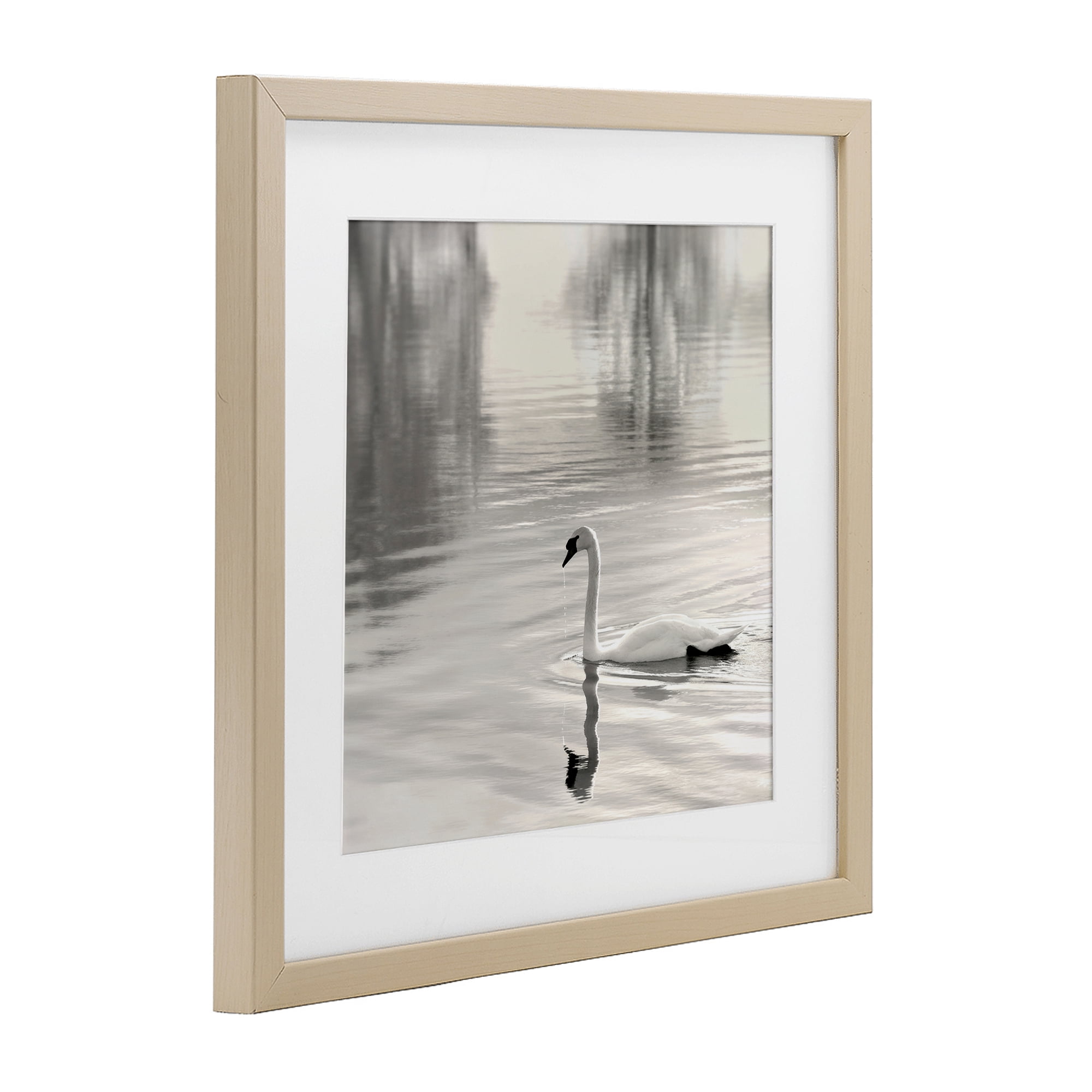 Stupell Industries Morning Sunlit Swan Birch Framed Print Under Glass, design by Nicholas Bell