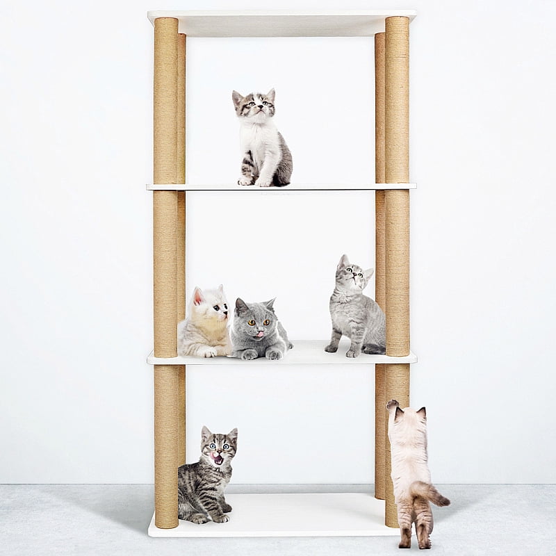 cat bookcase