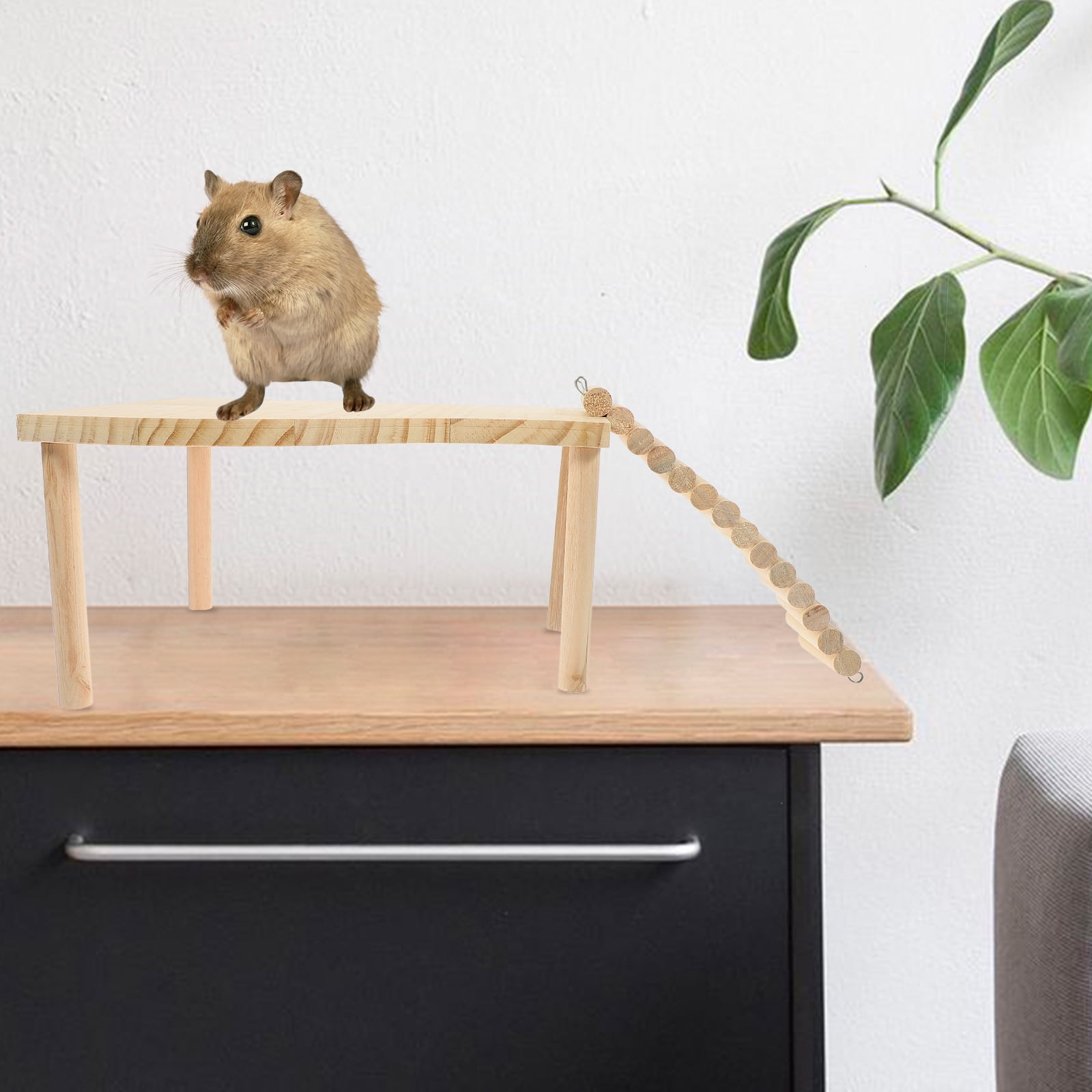 PBPBOX Hamster Supplies Set with Ladder for Indoor Activities 1 Set