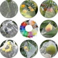 thumbnail image 4 of Grape Fruit Organza Bag With Drawstring - 100 Pieces Bunch Protection Bag 30x20cm/23x17cm, 4 of 5