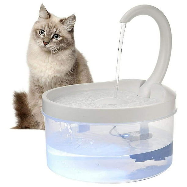 Fontaine à eau USB pour chat et chien - Petits Compagnons
