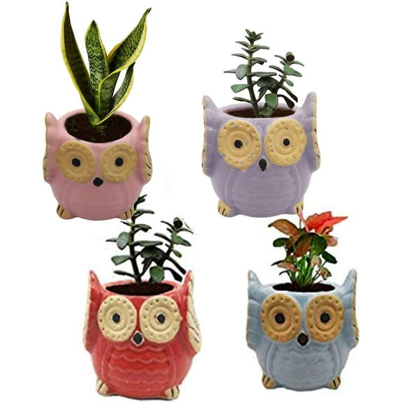 India Meets India Ceramic Planter, Owl Shaped [Multi-Color - 3.5 inch] - Ceramic Flower Pot/Indoor/Outdoor Pot, Set of 4 - by Awarded Indian Artisan