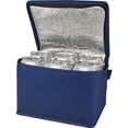 thumbnail image 2 of Spectrum Sac Isotherme Non Tissé 4 L, 2 of 2