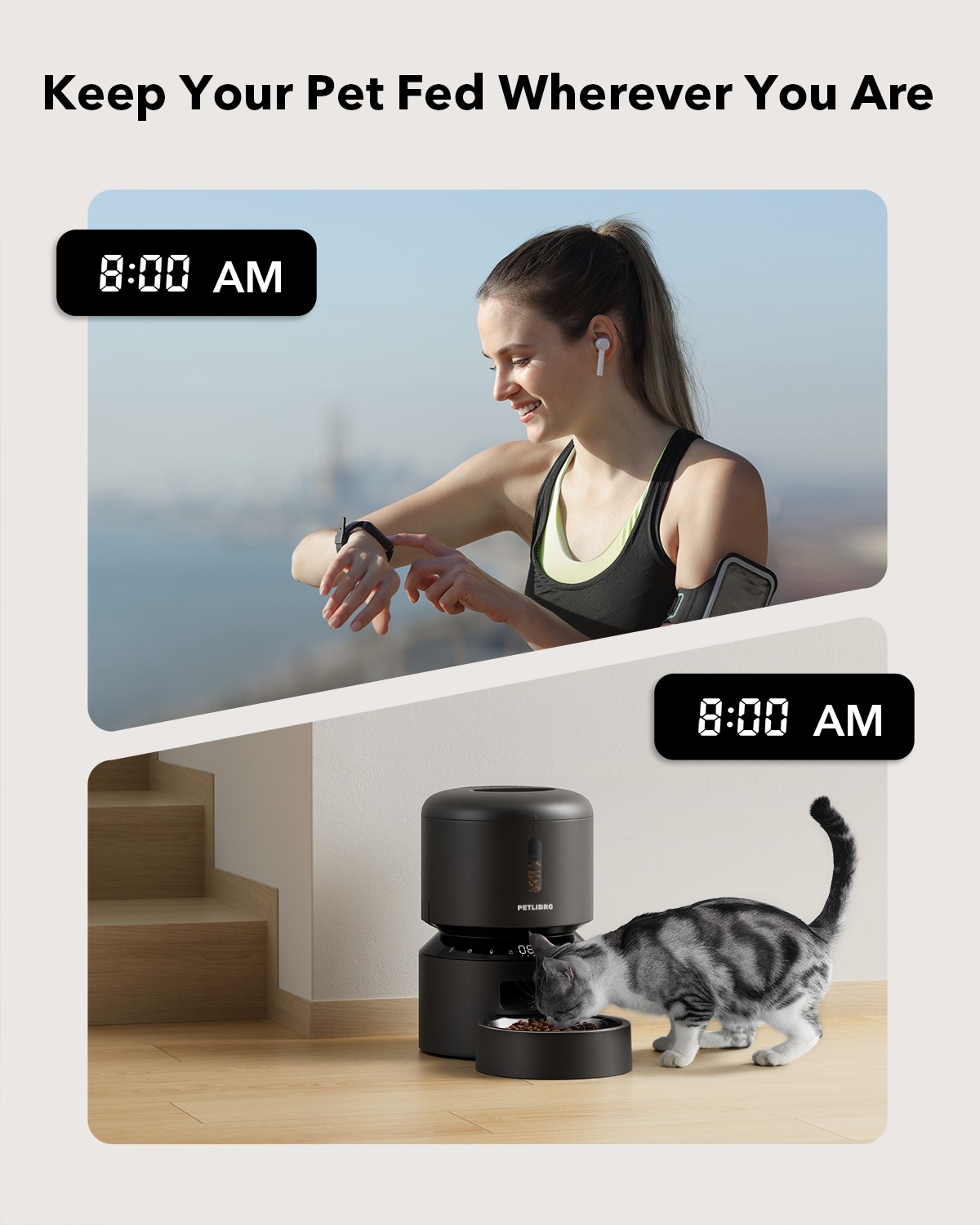 Petlibro 3L Automatic Cat Feeder with Voice Record photo 5
