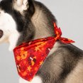 thumbnail image 5 of Hovilon Thanksgiving Pet Bandana for Dogs and Cats Adjustable Holiday Scarf, Soft Turkey Pumpkin Print Neck Wrap, Festive Fall Autumn Dog Collar Accessory for Holiday Photos and Family Gatherings, 5 of 8