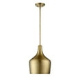 thumbnail image 1 of Meridian M70020NB 1 Light Pendant - Natural Brass, 1 of 1