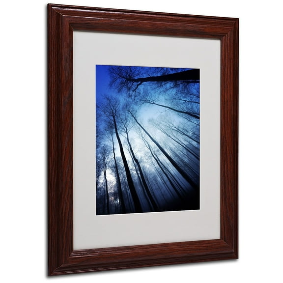 Trademark Fine Art "Blue Forest" Canvas Art by Philippe Sainte-Laudy, Wood Frame