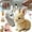 2pcs-2, variant on Fanyil Bunny, Family/Libiyi/Pets Boro/Yifare/Petsboro,Bunnypal, Bunby - My Realistic Bunny Toy, Interactive Stuffed Animal Rabbit Toy That Moves, Jumping, Twitching, and Ears (Brown)