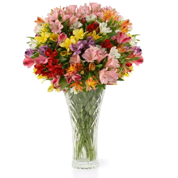 Alstroemeria Bouquet, Best Next-Day Fresh Flower Delivery, Ideal for Birthdays, Get Well Gift for Women, Anniversary, Sympathy, Congratulations, Thank You, Just because