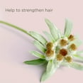thumbnail image 5 of Hairitage End Play Split End Rescue Gel Cream with Jojoba Protein, for Damaged Hair, 4 fl oz, 5 of 10