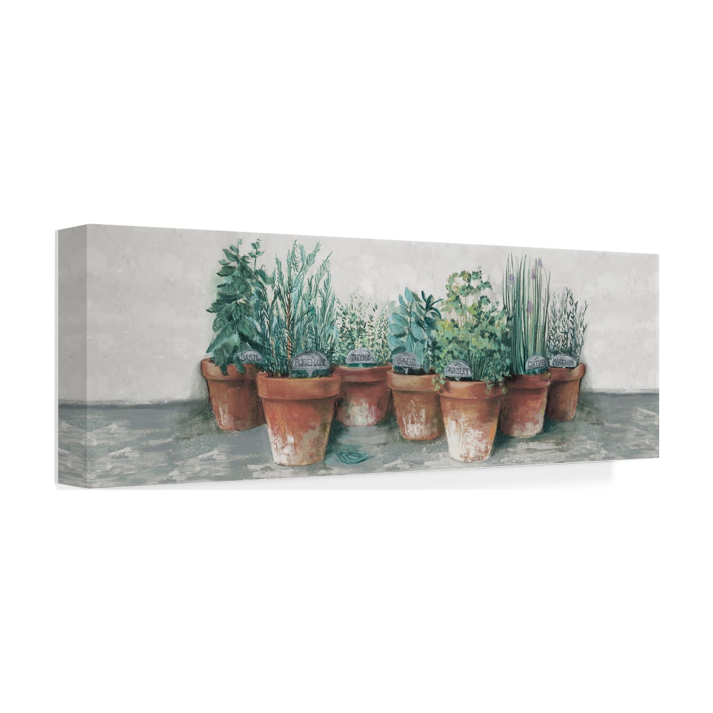 Trademark Fine Art 'Pots of Herbs II Cottage v2' Canvas Art by Carol Rowan