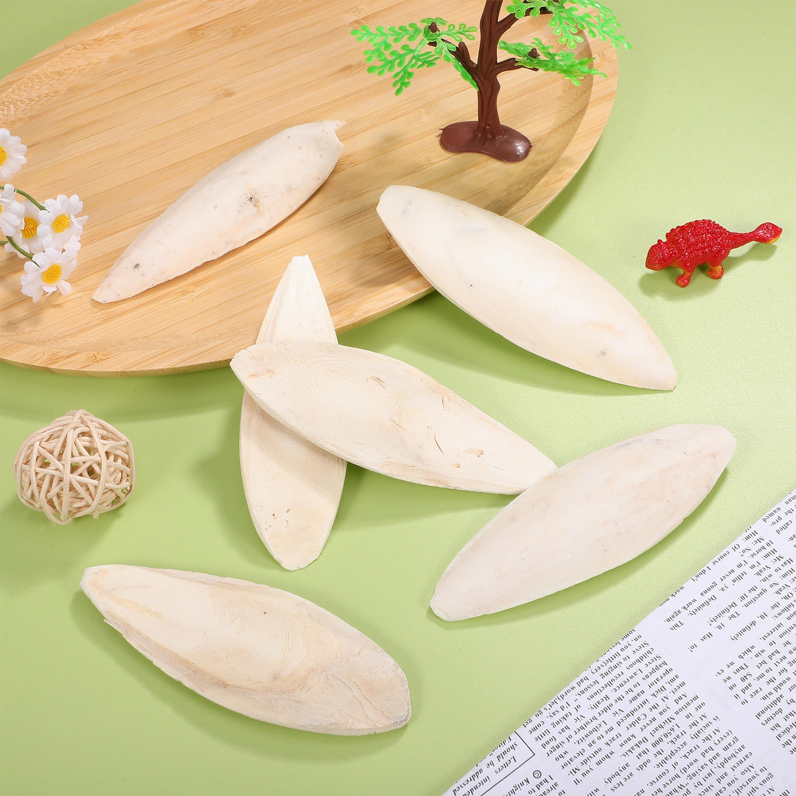 OUNONA 6 Pcs Cuttlefish Bone Bird Chewing for Finches and Cockatiels