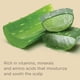 thumbnail image 5 of Set de champú y acondicionador Hairitage Color Check 400 ml, 5 of 7