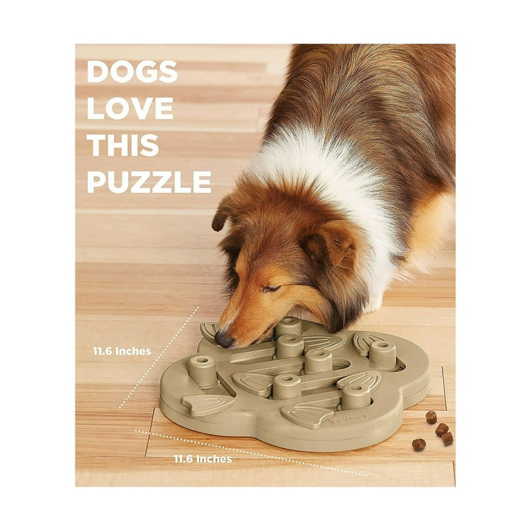 Outward Hound - Hide N' Slide Interactive Treat Puzzle Dog Toy, Tan - Level  2