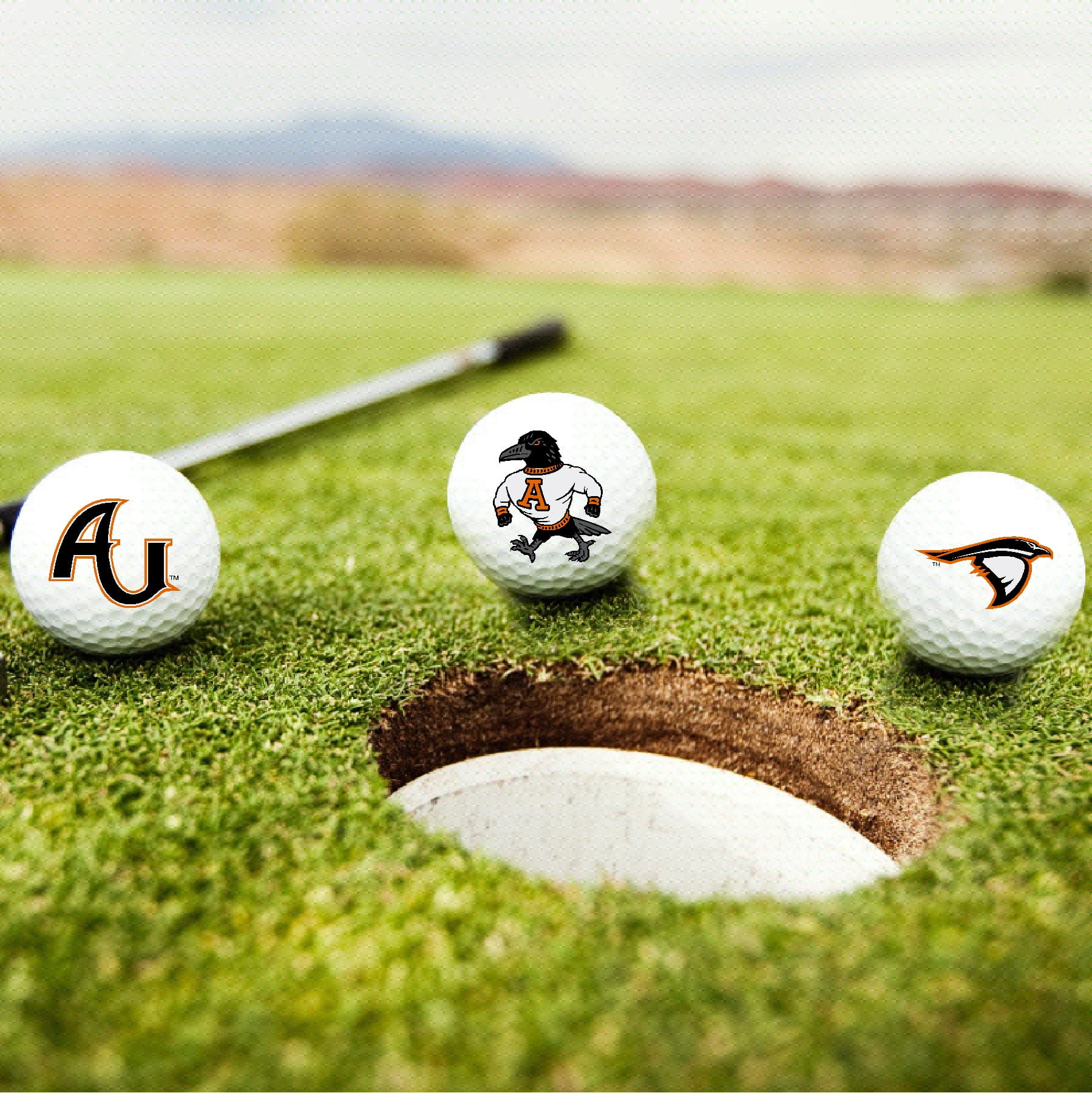 Anderson University Ravens Logo Edition Taylormade Distance+ Golf Balls 12-Pack (Dozen)