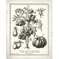 thumbnail image 2 of Babbitt, Gwendolyn 20x24 Gold Ornate Wood Framed with Double Matting Museum Art Print Titled - French Tomatoes, 2 of 4