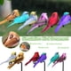 thumbnail image 1 of onlyliua Oferta Por Tiempo Limitado 12 Piezas de Pájaros Artificiales de Espuma, Simulación de Pájaros, Adorno Del Hogar, Cinco Colores, 1 of 7
