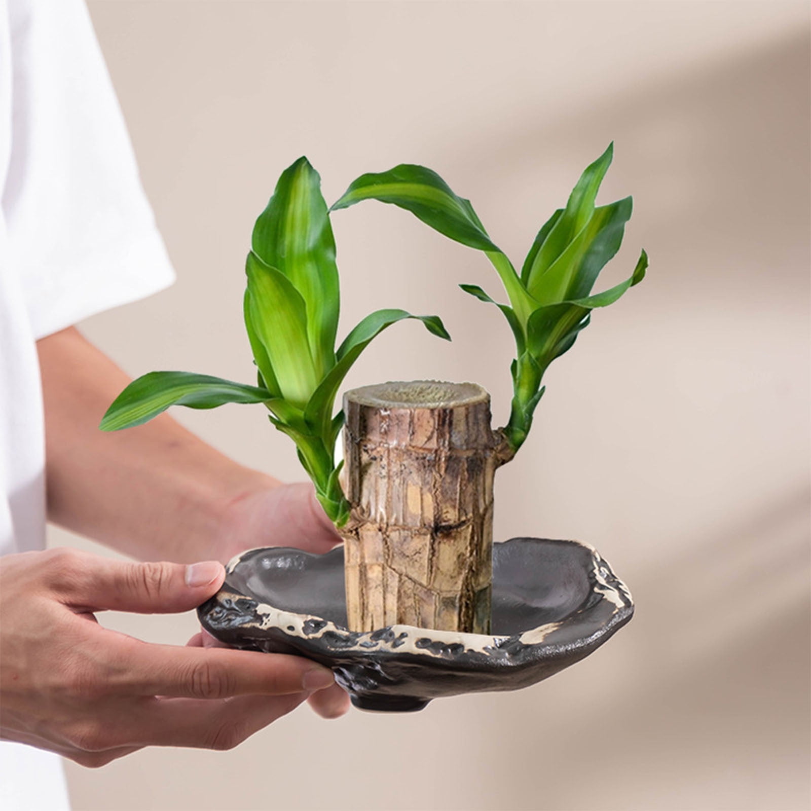 ufehgfjh Gifts Glazed High-Foot Water Culture Flower Pot Ceramic Indoor Hydroponic Planter Large Mouth Decorative Desktop Plant Pot For Home Office Gardening