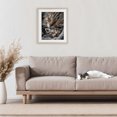thumbnail image 3 of Stupell Industries Eclectic Kitty Love Cuddles Birch Framed Print Under Glass, 13 x 16, by Scott Stulberg, 3 of 8