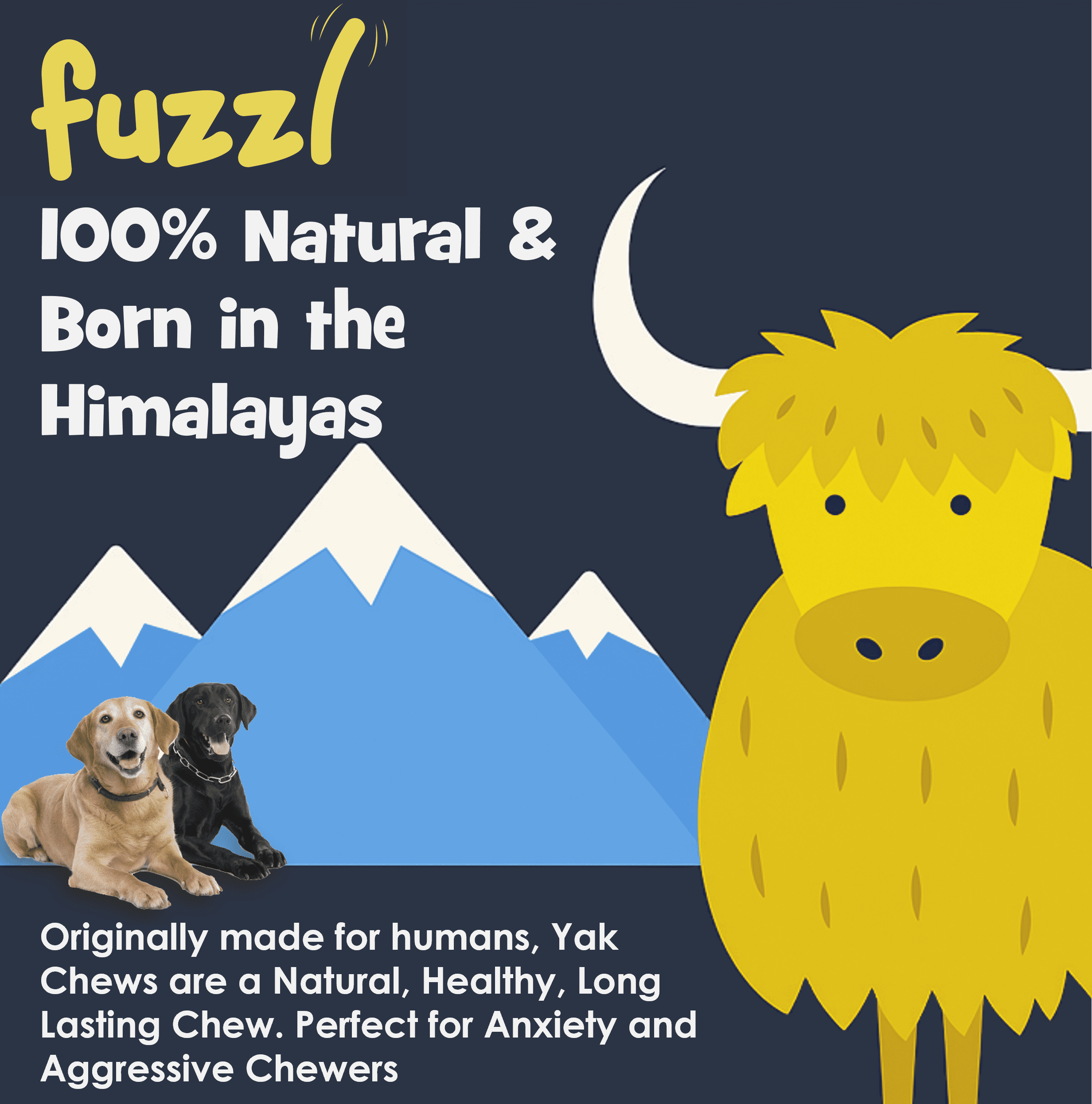 Fuzzl Yak Cheese Chews Peanut Butter, Strawberry, Blueberry, Mint Medium Box 4 - Himalayan Yak Chews for Dogs - Natural Dog Chew