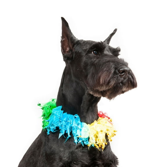 Midlee Rainbow Decorative Dog Collar (Small)