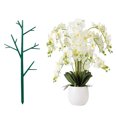 thumbnail image 3 of LCXmlly Plant Climbing Holder 5Pcs Plant Support Trellis with Branches Easy to Install Reusable Plastic Support Rod Professional Flower Vine Climbing Plants, 3 of 7