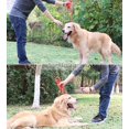 thumbnail image 2 of Dog Lasso Training Leash Correa reflectante para pequeño, mediano, grande, 11 Feliz Sencillez, 2 of 5