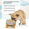 thumbnail image 2 of Spunkyjunky 15 Cuenco Inclinado De Cerámica Para Perros Y Gatos Con Soporte De Madera, Cuenco Inclinado Para Comida Y Agua, Antideslizante, Antiderrames, Para Gatos, Perros Medianos, Mascotas De Cara, 2 of 5
