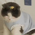 thumbnail image 2 of Adorable Pet Clothes for Cats & Small Dogs - Charming Spring & Autumn Wear, 2 of 2