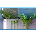 thumbnail image 4 of HILABEE Cross Cable Clamp Wire Rope Trellis Systems Cable Railings Cross Cable Clamp, 4 of 9