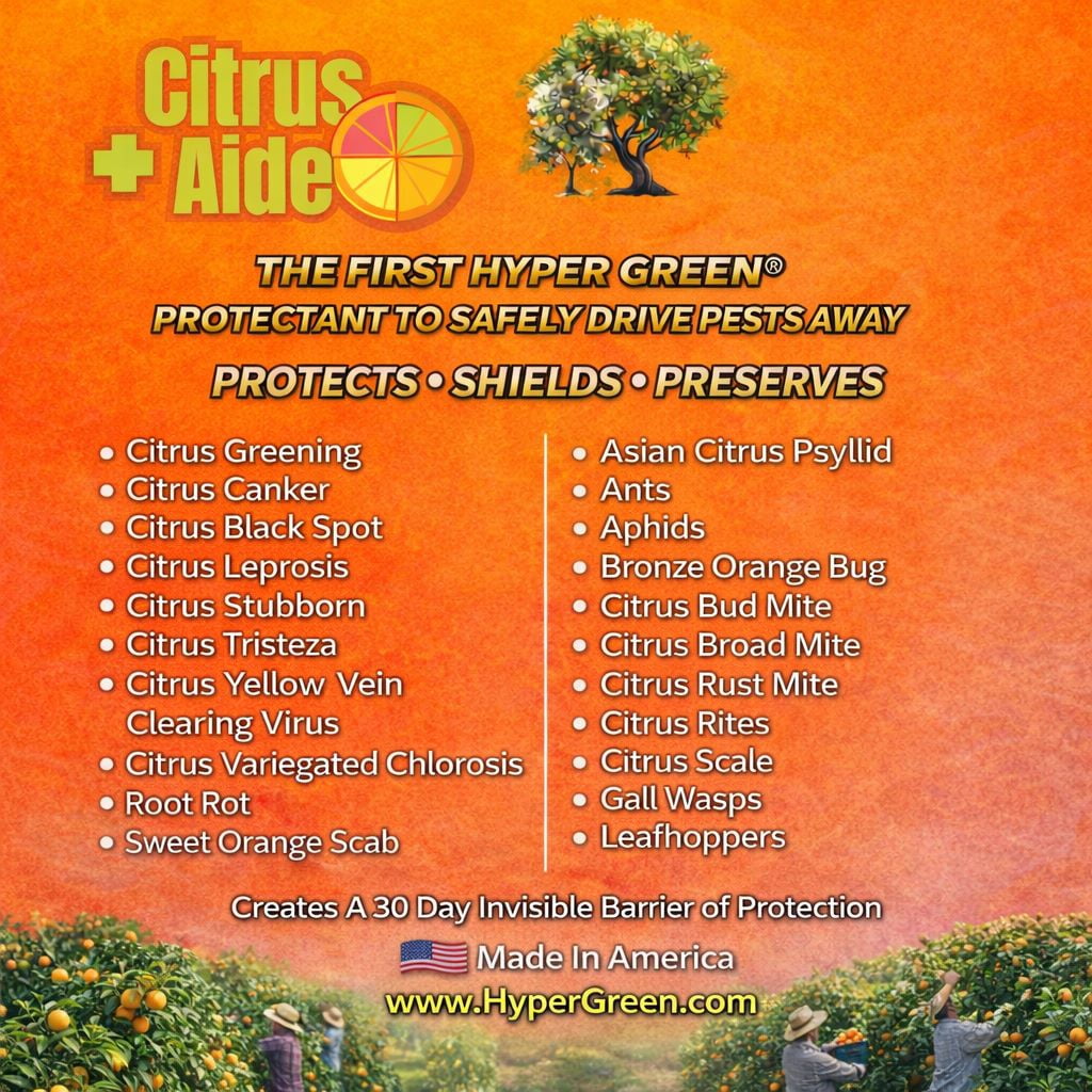 Infinity Shields Citrus+Aide, Citrus Tree Anti-Greening Support Spray, Liquid Fertilizer, 65 oz, Hose-End Rinse Concentrate, Peppermint Scent