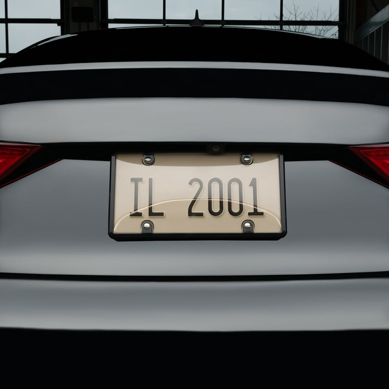 Black 'HONK IF YOU'RE HORNY' License Plate Frame – Matte Finish, Fits Front Or Rear