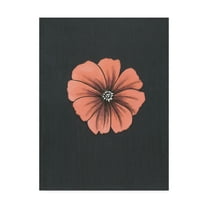 Trademark Fine Art 'Peach Flower On Gray' Canvas Art by Nicky Kumar