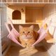 thumbnail image 4 of Cama Refrescante para Gatos En Verano: Hamaca para Mascotas Ideal para Climas Cálidos, Alfombrilla Refrescante Portátil y Lavable para Jaula, Viajes Al Aire Libre y Uso En Interiores., 4 of 6