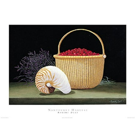Nantucket Harvest - Nantucket Harvest by Robert Duff 11x14 Art Print Poster