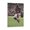 Frame-style, variant on Michael Vick Canvas Poster Art Poster Canvas Painting Decor Wall Print Photo Gifts Home Modern Decorative Posters 12x18inch(30x45cm)