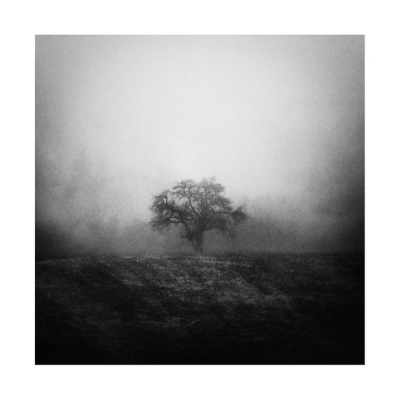 Canvas Wall Art - Karol Vaan 'Alone' Wall Art for Living Room, Bedroom, or Office Décor by Trademark Fine Art - 14 x 14 Inches