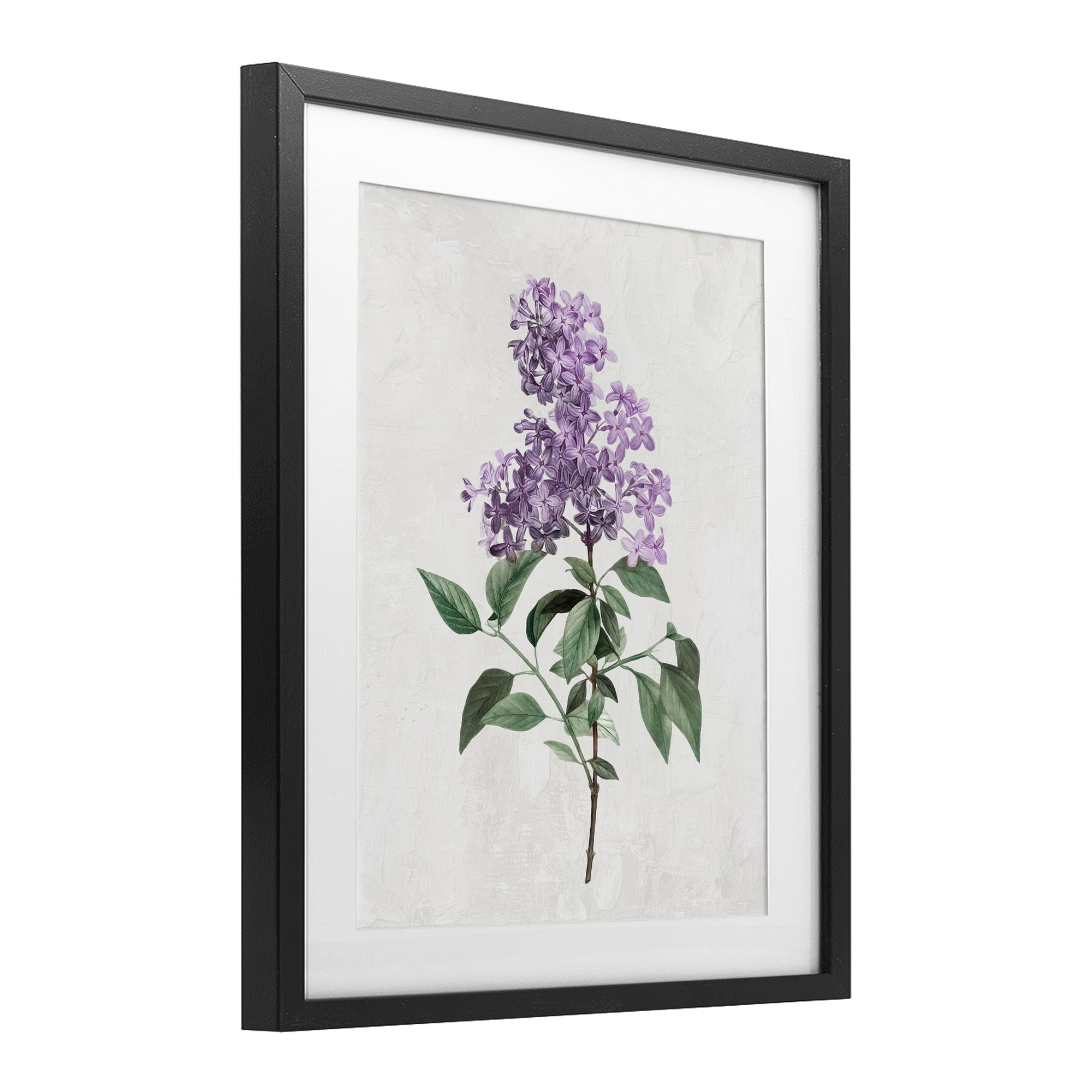 Stupell Industries Lilac Herb Blossoms Black Framed Print Under Glass, design by Kim Allen