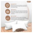 thumbnail image 3 of Drevy Organic Buckwheat Pillow for Sleeping with Pillow case – Japanese Pillow Filled with Sobakawa aids in Cooling Sleep with Neck Support for Any Sleep Position (20in x 15in), 3 of 8